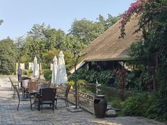 -老房子金沙元年川菜食府·花园餐厅(金沙店)