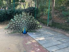 -杭州野生动物世界