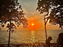 -卷心菜和避孕套餐厅(Pattaya)