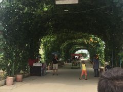 -北戴河集发农业梦想王国