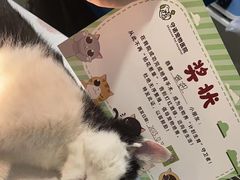 -守诺宠物医院·眼科· 特色牙科·异宠专科(虹口店)