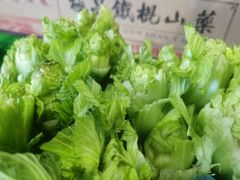 -山泉公馆酒家(珠江新城店)