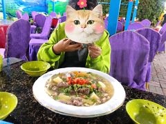 -马白开来特色羊排揪片子  (总店)