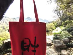 -野蔓果·山野菜(西湖景区·龙井茶田店)