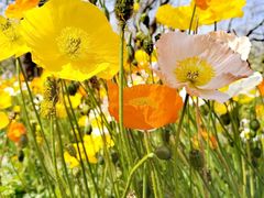 -名花谷生态庄园