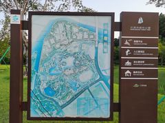 -王借岗森林公园