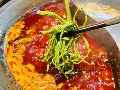 -大虎重庆老火锅(正弘城店)