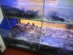 -鱼酷活鱼烤鱼(南京水游城店)