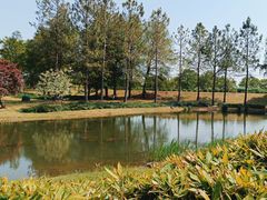 -上海辰山植物园