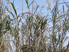 -千龙湖生态旅游度假区