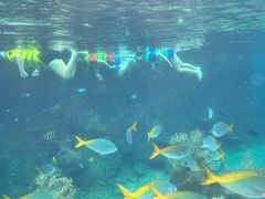 -新加坡水上探险乐园