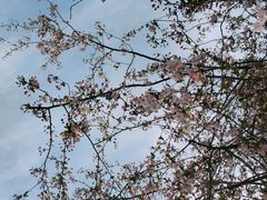 -颐和路民国时期公馆-风貌区