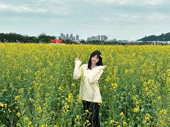 -光明小镇欢乐田园