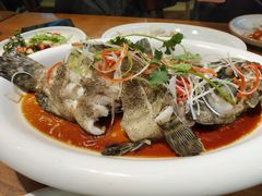 豉蒸南海大龙胆-必点海鲜·鲅鱼水饺(鞍山西道店)