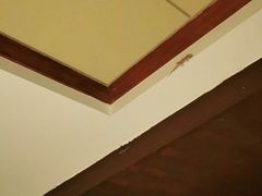 -西双版纳融创皇冠假日度假酒店