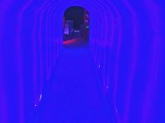 -北戴河圣蓝海洋公园