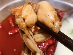-麻田会 ·鲜活现烹·牛蛙火锅(珠江新城维家思广场店)