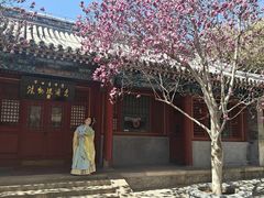 -潭柘寺景区