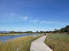 -野鸭湖国家湿地公园