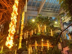 -正佳雨林生态植物园