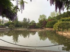 -嘉定紫藤园