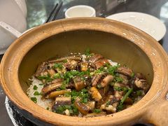 -红星光发煲仔饭(文海店)