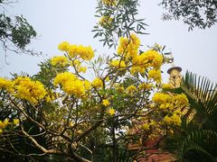 -曼听御花园