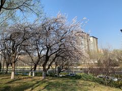 -玲珑塔公园