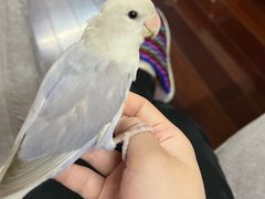 -雨林宠物医院 非犬猫异宠专科