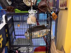 -谜盒子奇幻密室(南屏店)
