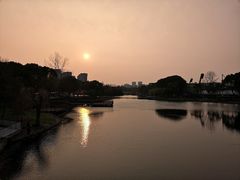 -新江湾城公园