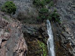 -上海辰山植物园