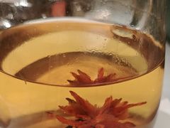 -芸山季·云南山珍菌火锅(南翔印象城MEGA店)