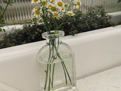 -麦当劳(卫星广场店)