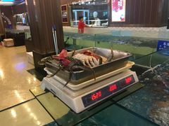 -都市阳光海鲜城(青山湖店)
