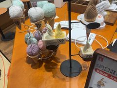 -野人先生现做冰淇淋(北京环宇荟店)