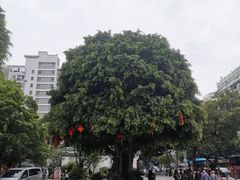 -三坊七巷历史文化街区