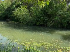 -昆山城市生态森林公园