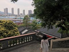 -广州神农草堂中医药博物馆