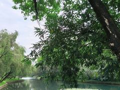 -荔枝公园(福田区)