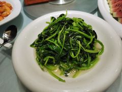 蒜泥鸡毛菜-光明渔港(海悦天地店)