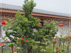 -庭苑美食中心·陈皮烧鹅·海鲜(台山店)