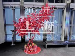 -上海环球金融中心云端足球盛典