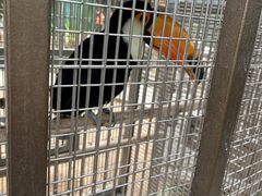 -南宫五洲植物乐园