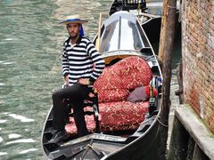 -圣马尔谷圣殿宗主教座堂