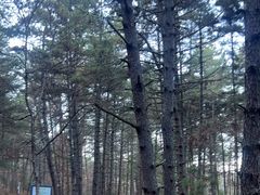 -帽儿山国家森林公园