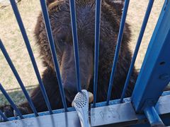 -鄂尔多斯野生动物园