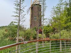 -昆山城市生态森林公园