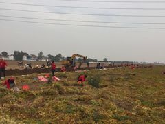 -解家河南菜(商鼎路店)