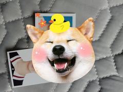 -真我樣照相馆·身份证·证件照·外拍(环球港店)